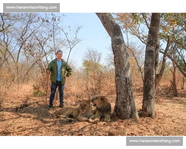 佩德里非洲 Safari 玩心跳：与狮共舞求生欲爆棚