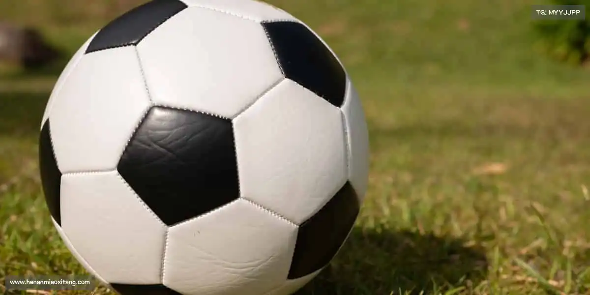 <strong>米兰官网</strong>🤽‍♂️热爱无界，运动让生活更精彩！